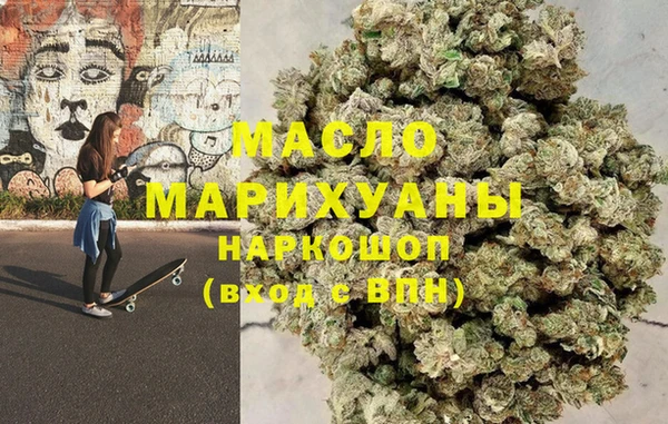 индика Киреевск