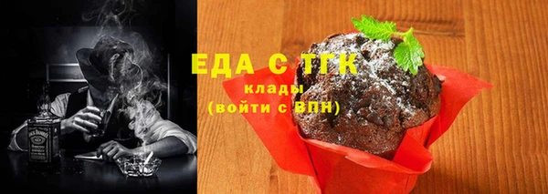 индика Киреевск