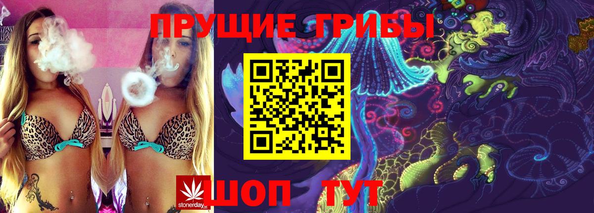 Псилоцибиновые грибы GOLDEN TEACHER  Вход с VPN  Галлюциногенные грибы Magic Shrooms  Ленинск-Кузнецкий 