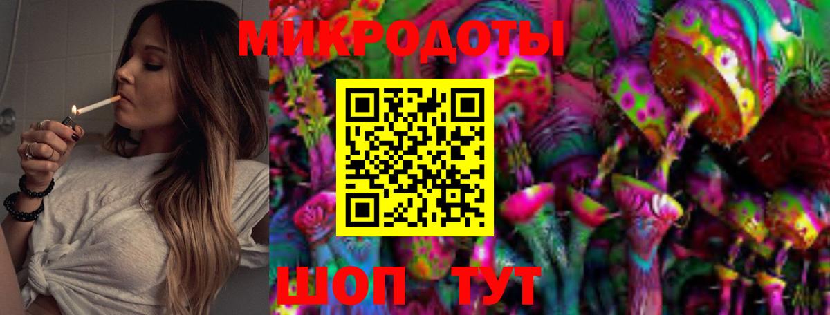 Галлюциногенные грибы Psilocybe Ленинск-Кузнецкий