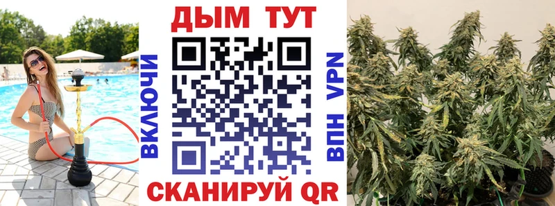 ссылка на мегу tor  Ленинск-Кузнецкий  Марихуана SATIVA & INDICA 